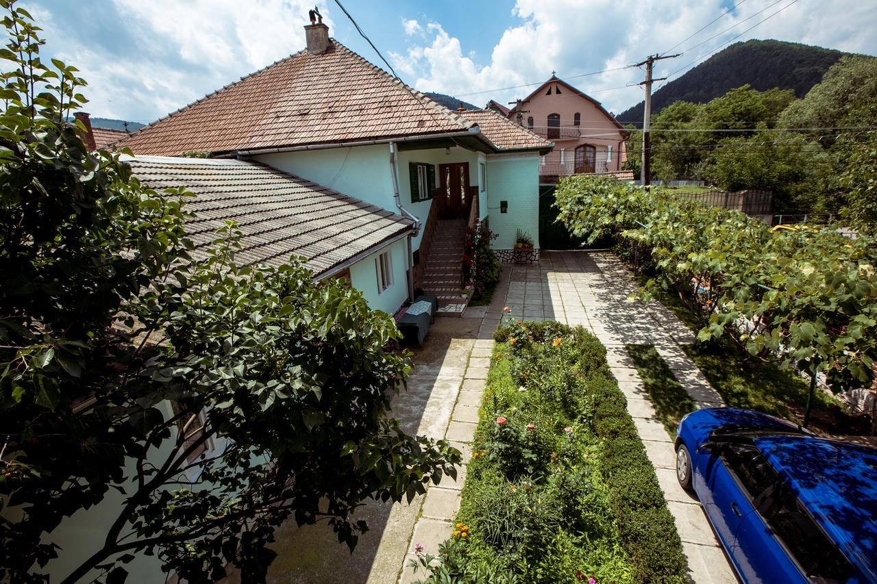 Răşinari 特兰西瓦尼亚美景村庄旅馆酒店 外观 照片